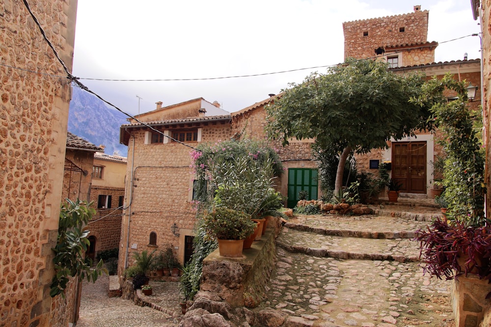 a cobblestone street in a small village