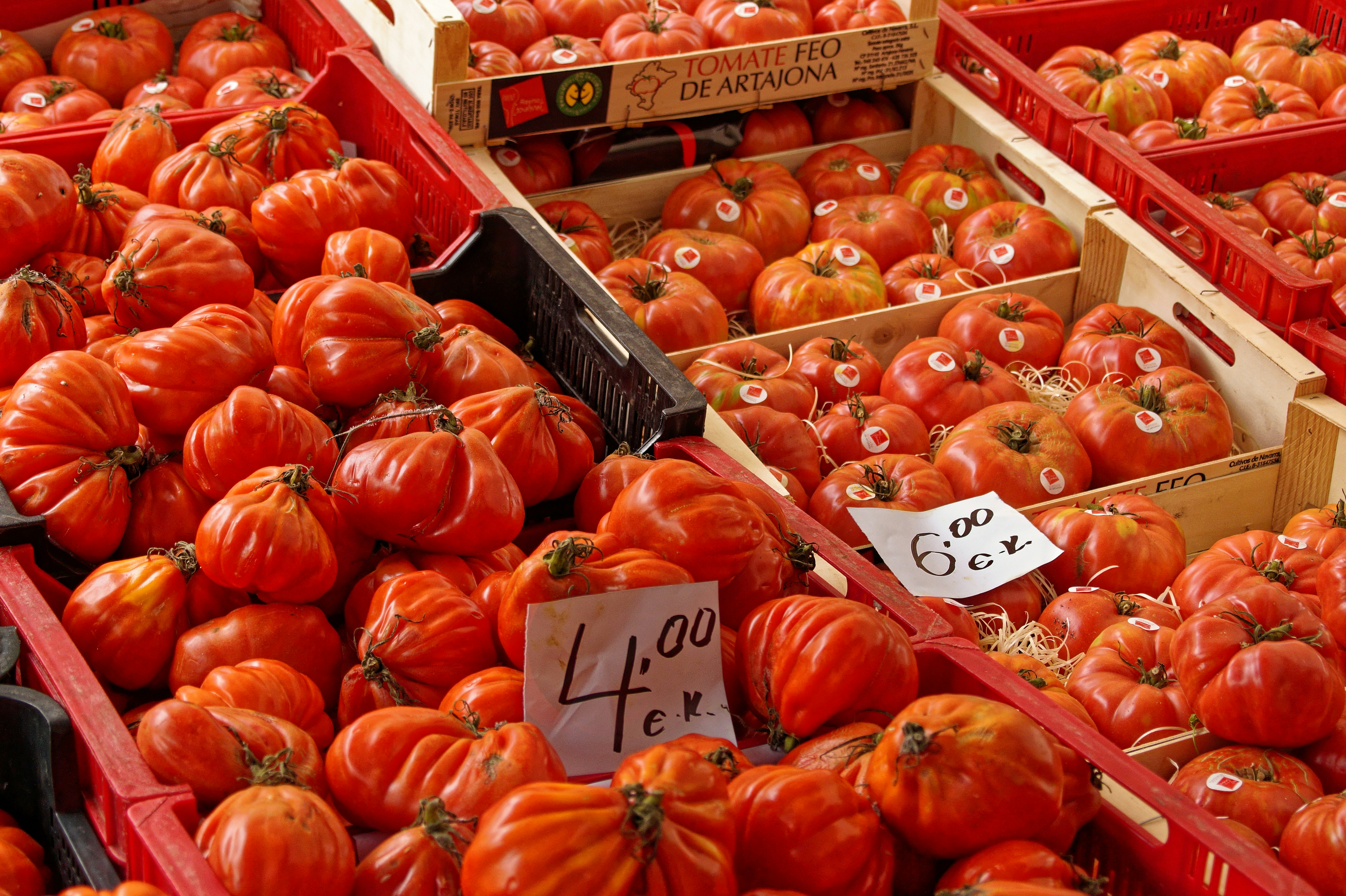 Preço do Tomate em Alta: O que esperar para abril?