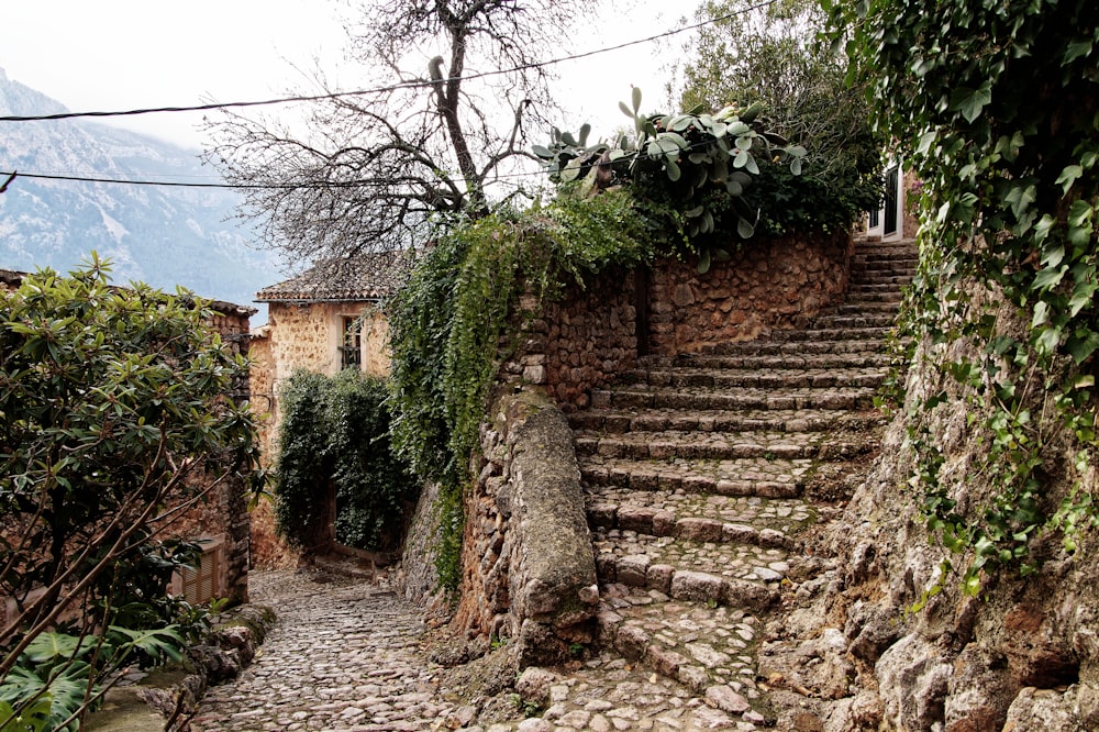 a set of stone steps leading up to a building