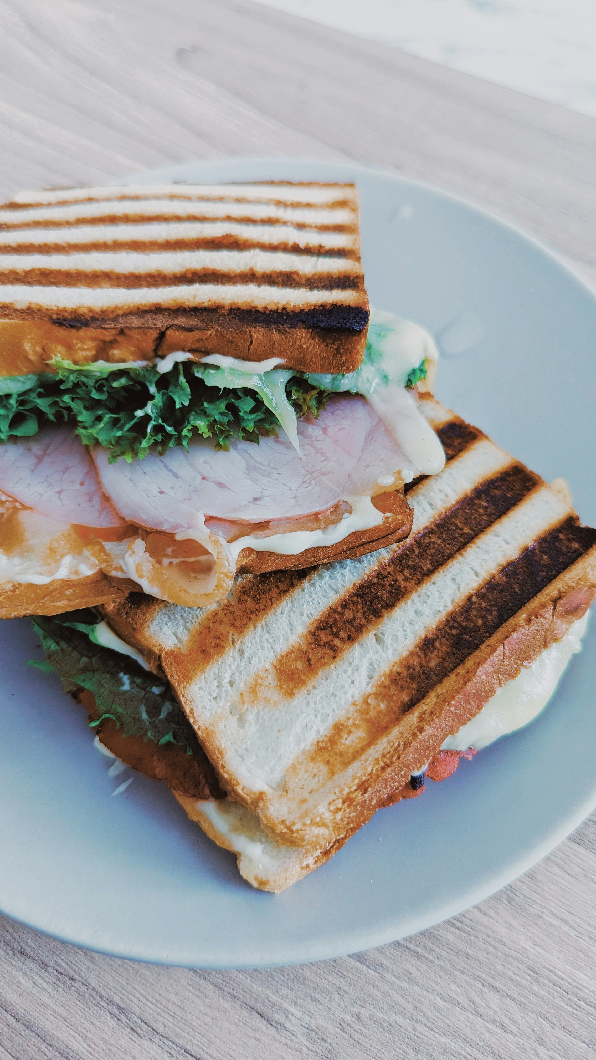 Como Escolher a Melhor Sanduicheira Elétrica: Dicas e Recomendações