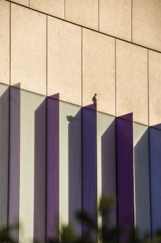 Close-up of modern pigeon deterrent spikes installed on a building ledge