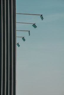 A row of clean, modern sign posts lined up along a quiet residential street, ready for rental.