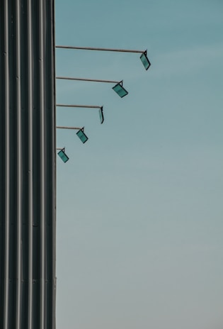 A row of clean, modern sign posts lined up along a quiet residential street, ready for rental.