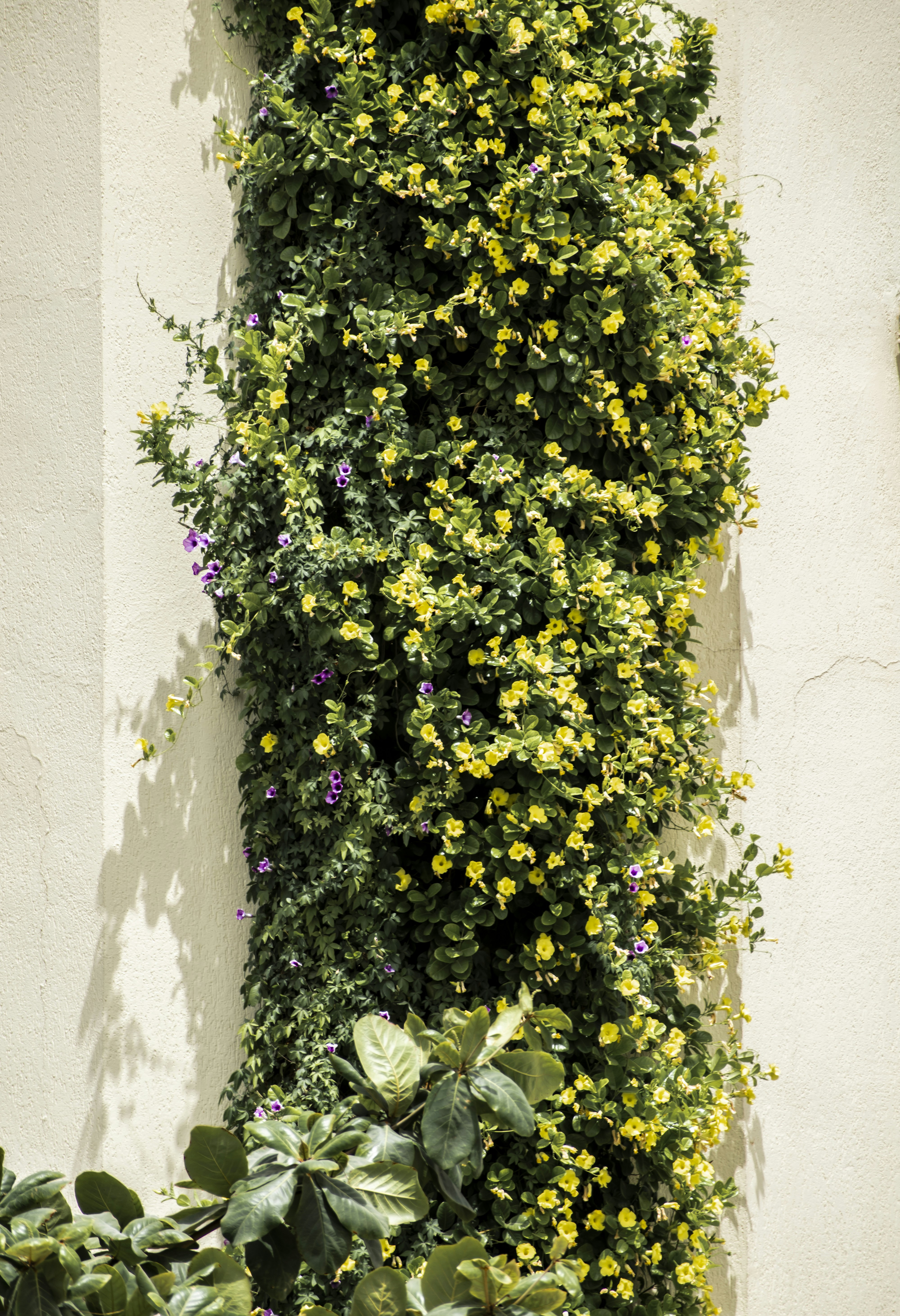 Beautifully landscaped retaining wall with flowers and shrubs