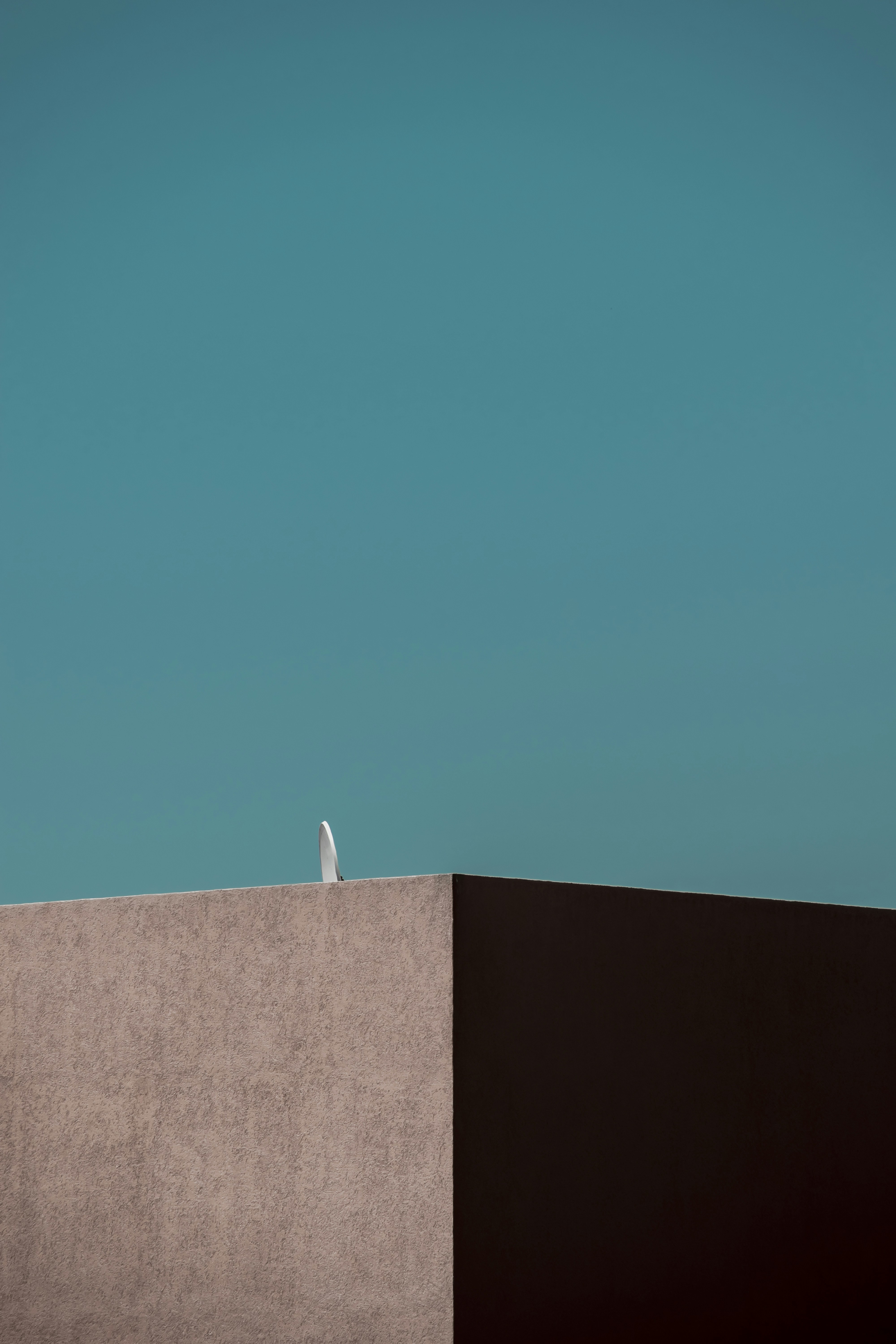 a bird is sitting on top of a building