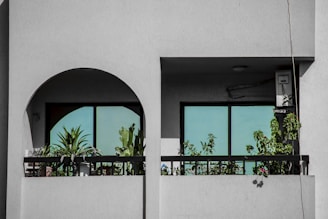 A balcony featuring a variety of potted plants, including cacti and leafy greens, is framed by an architectural structure with two large windows. The building's exterior is minimalistic with a light gray facade, and the windows reflect a light blue sky. An electrical box is mounted on the wall to the side.