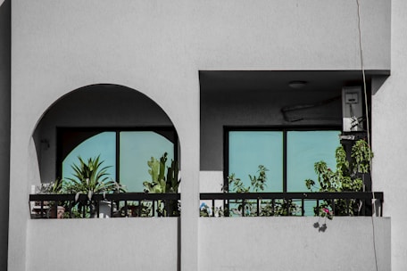 A balcony featuring a variety of potted plants, including cacti and leafy greens, is framed by an architectural structure with two large windows. The building's exterior is minimalistic with a light gray facade, and the windows reflect a light blue sky. An electrical box is mounted on the wall to the side.