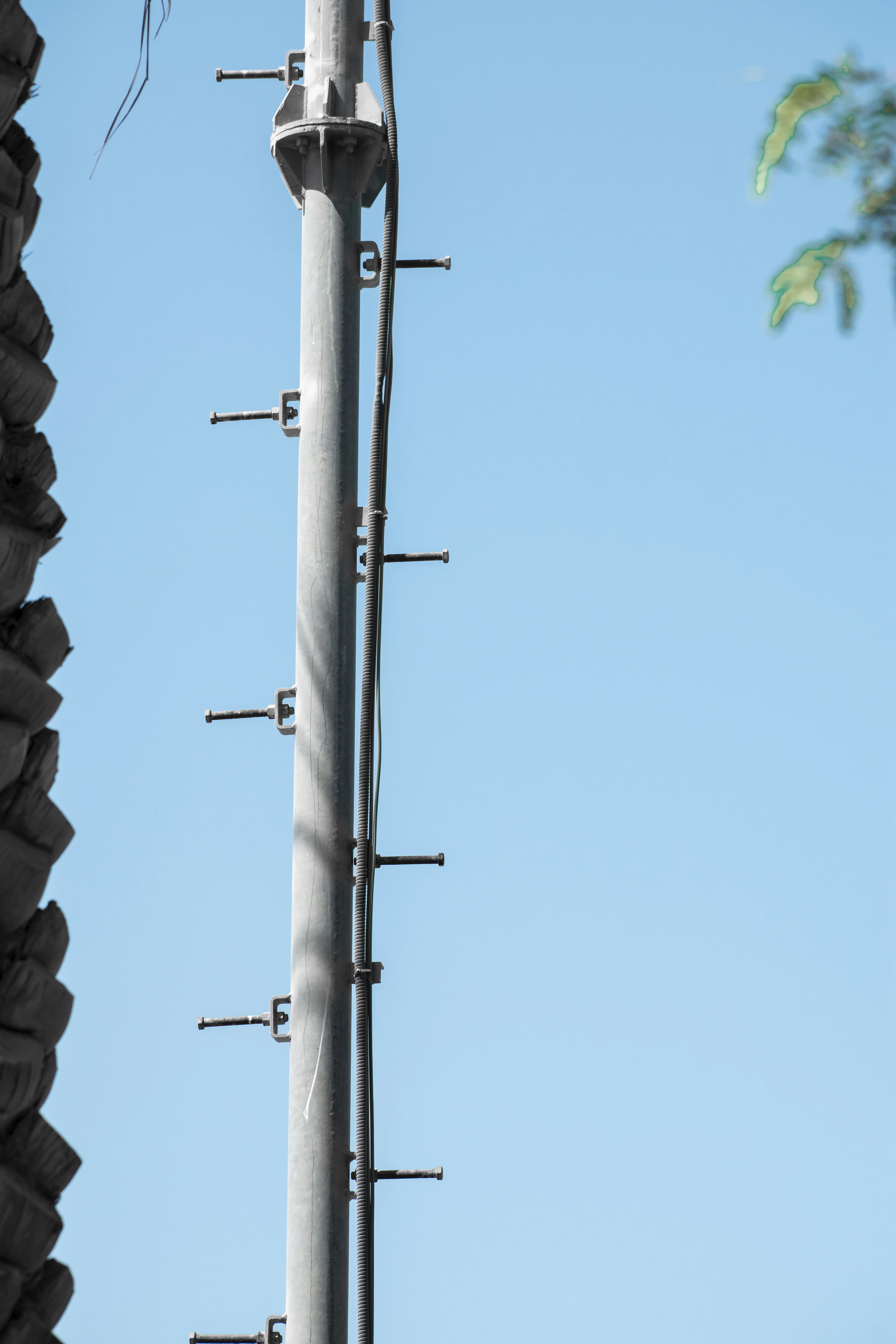 Essx Pole Vault Poles Sale