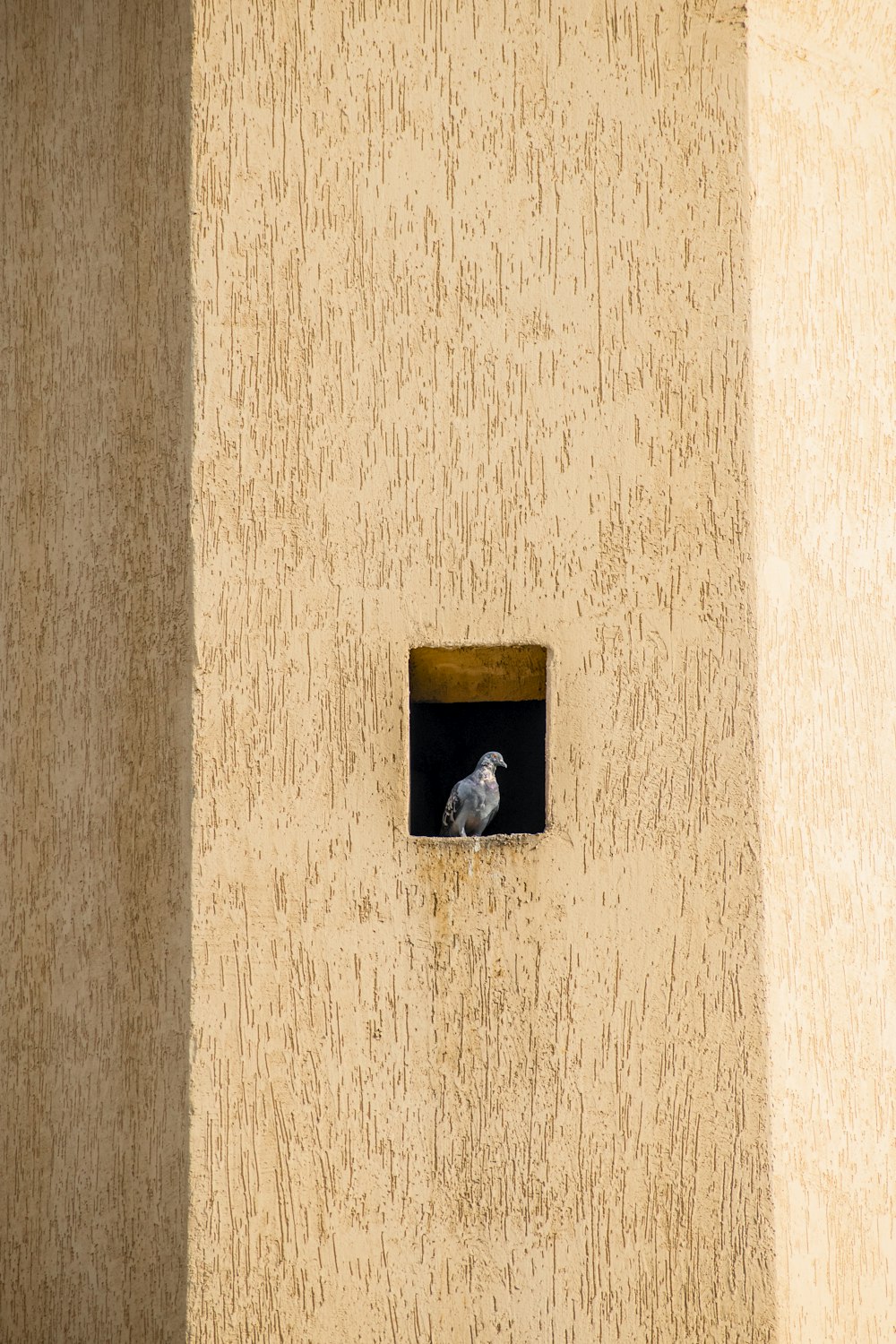 a small bird is sitting in a small window