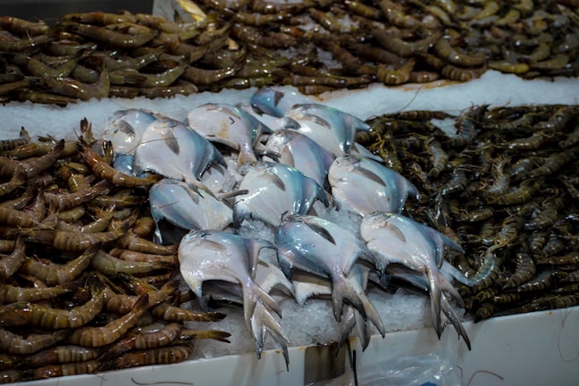 A variety of seafood is displayed on a bed of ice, including several fish and a large quantity of shrimp. The fish are silver with a shiny appearance, and the shrimp have a mix of brown and green hues. The seafood appears fresh and neatly arranged in a market setting.