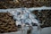 A variety of seafood is displayed on a bed of ice, including several fish and a large quantity of shrimp. The fish are silver with a shiny appearance, and the shrimp have a mix of brown and green hues. The seafood appears fresh and neatly arranged in a market setting.