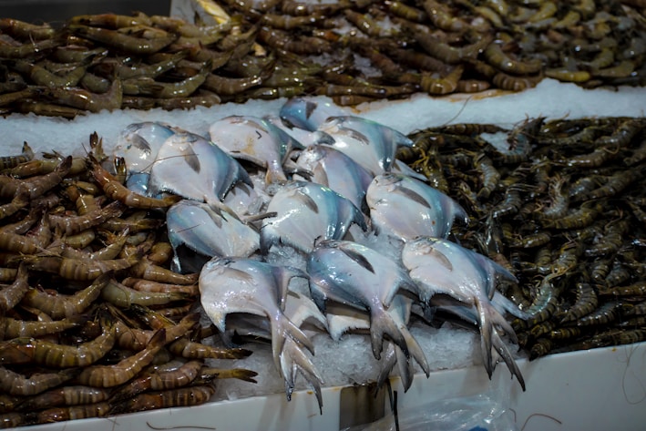A variety of seafood is displayed on a bed of ice, including several fish and a large quantity of shrimp. The fish are silver with a shiny appearance, and the shrimp have a mix of brown and green hues. The seafood appears fresh and neatly arranged in a market setting.