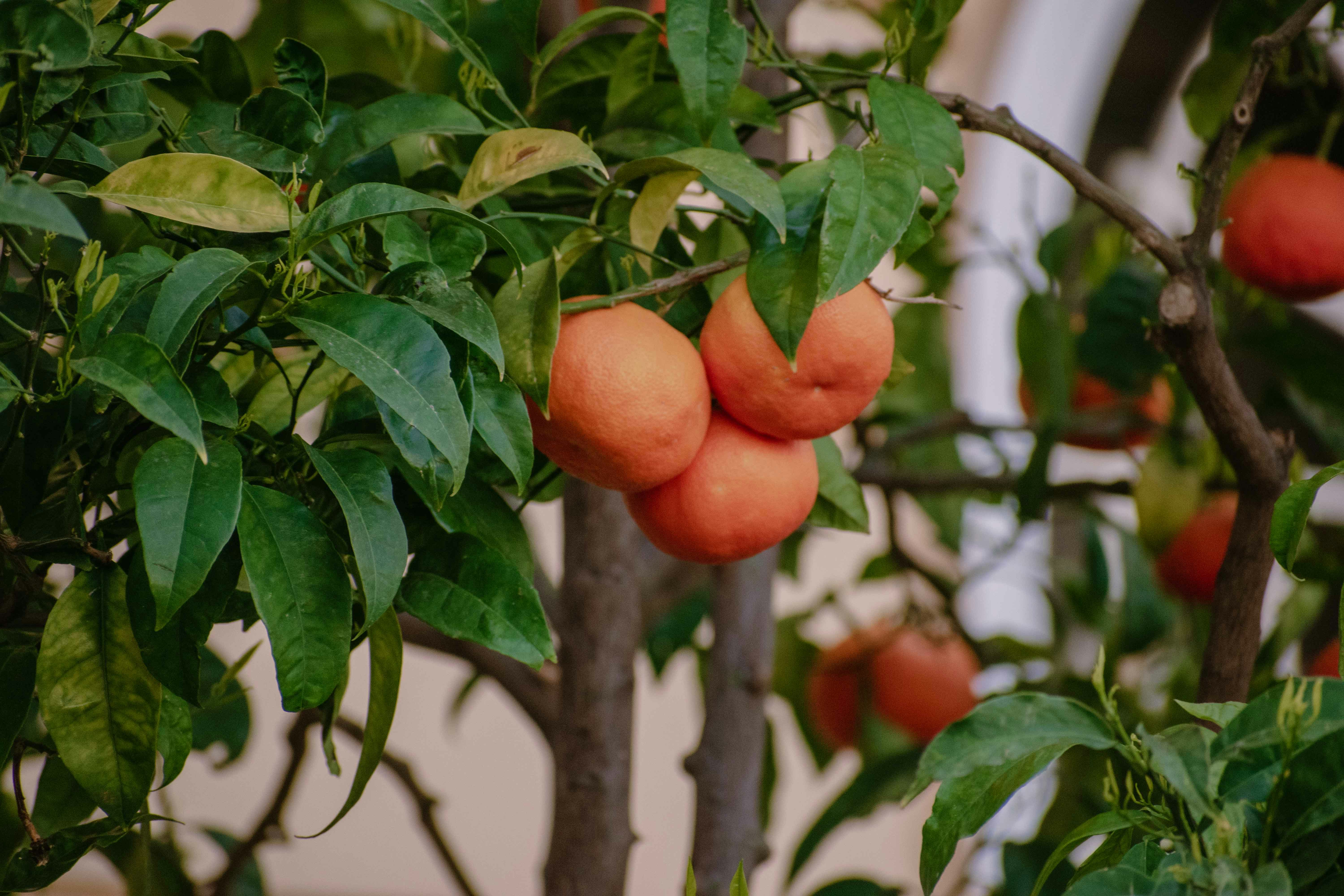 Photo by emilio_geremia