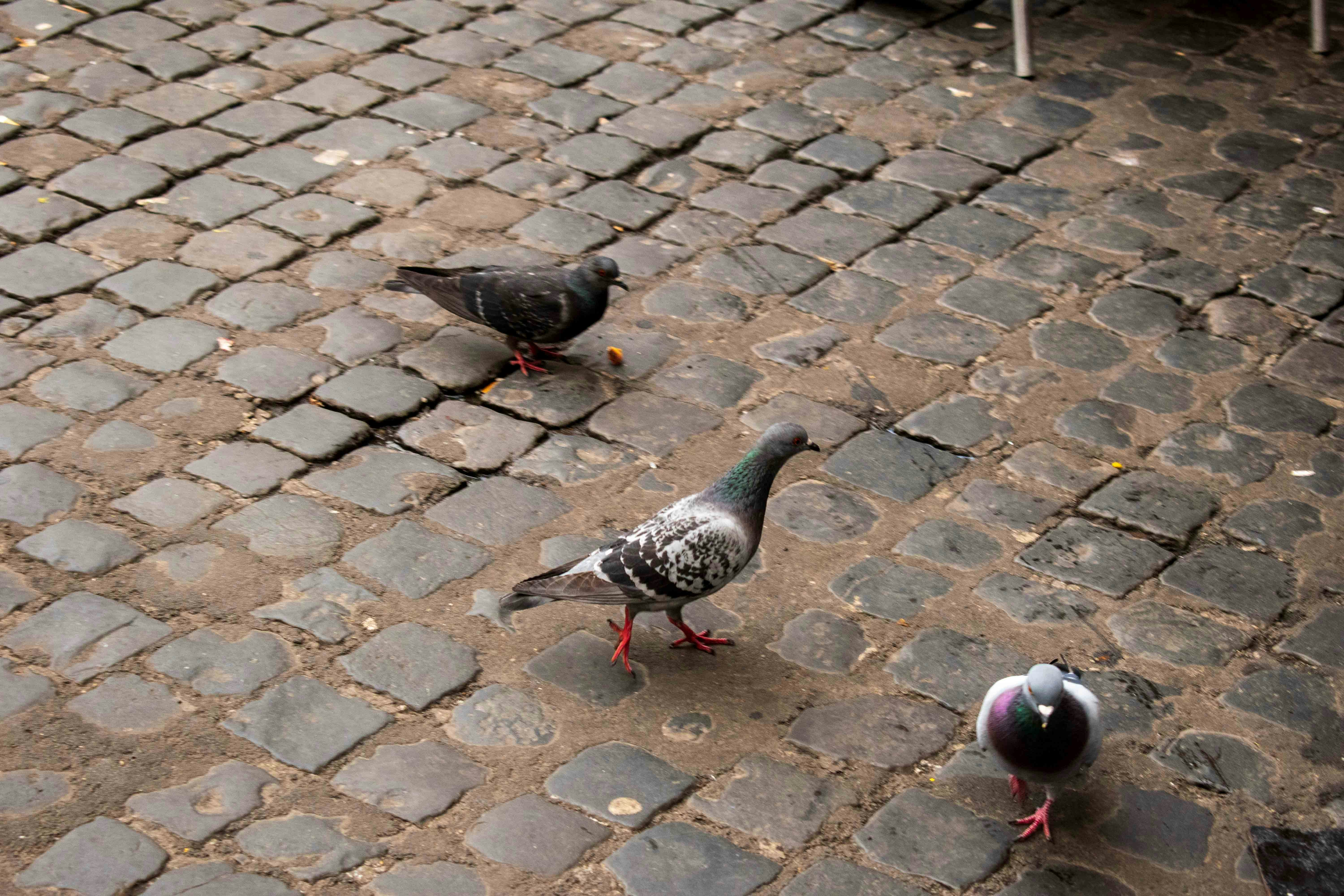 Photo by emilio_geremia