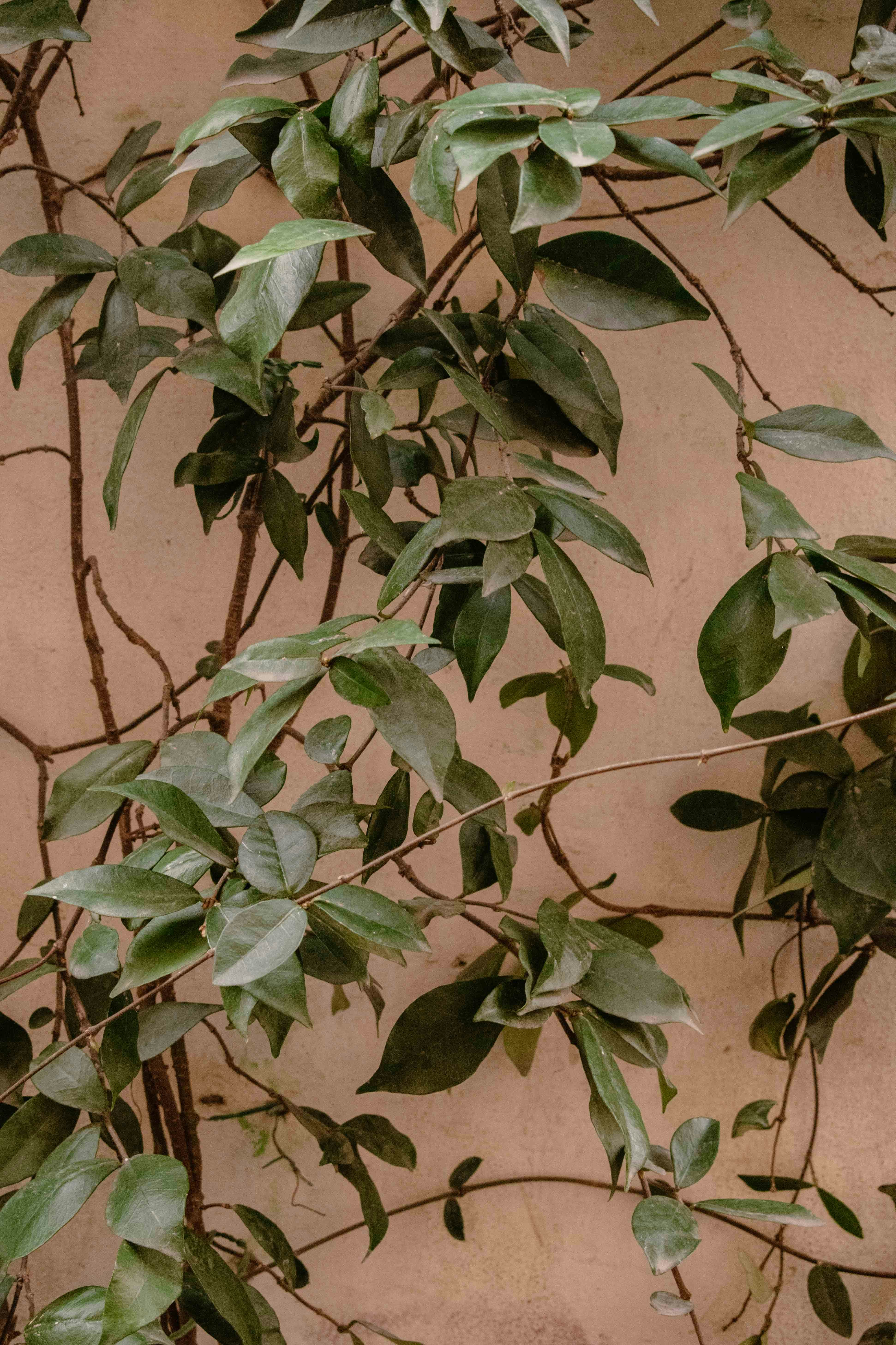 Photo by emilio_geremia