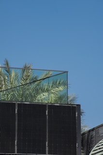 A modern structure features panels with a reflective surface that shows nearby palm fronds. The background consists of a clear blue sky, and part of the structure includes solar panels or dark glass panels.
