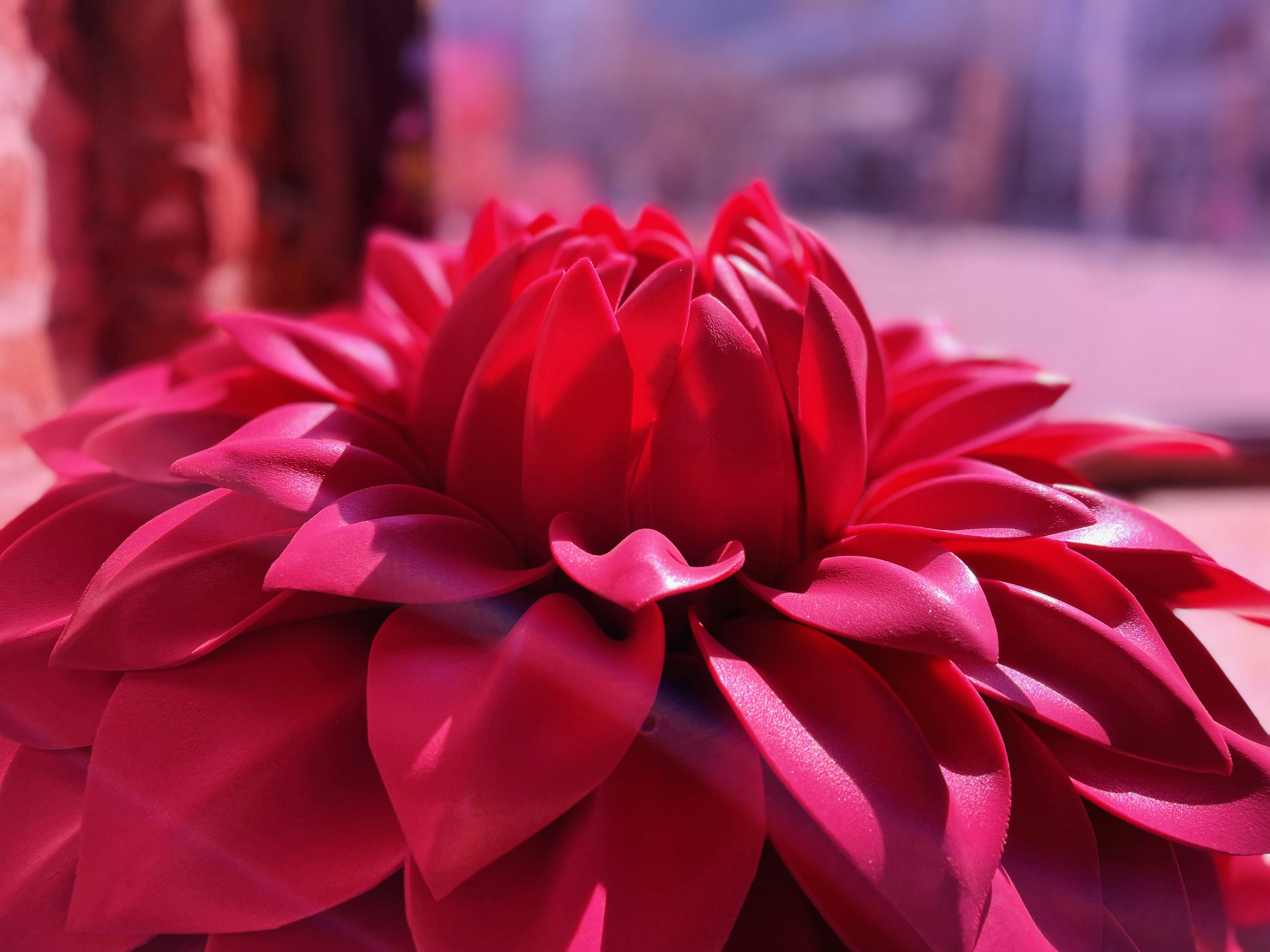 a large red flower sitting on top of a wooden table