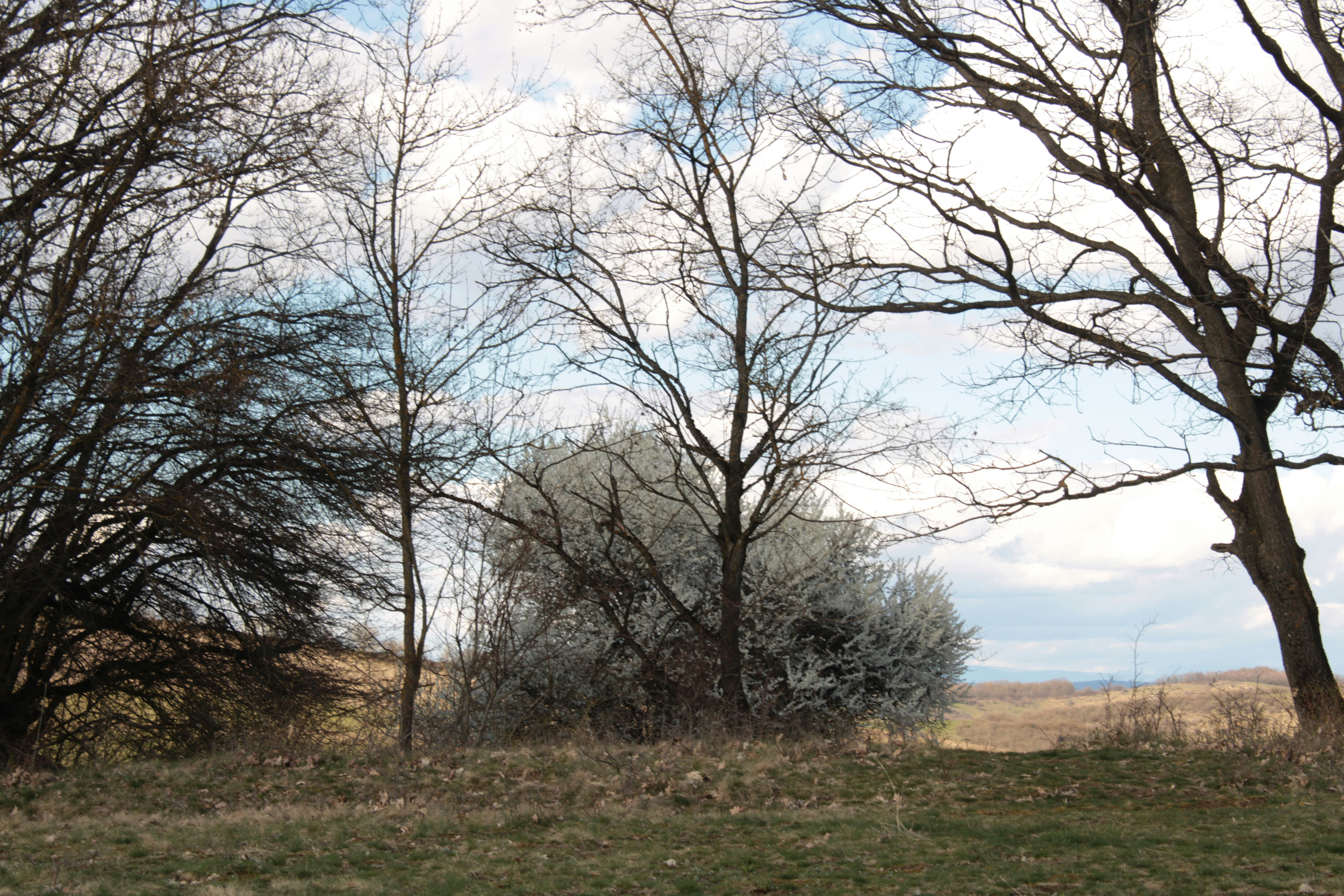 Photo by thorai9akira