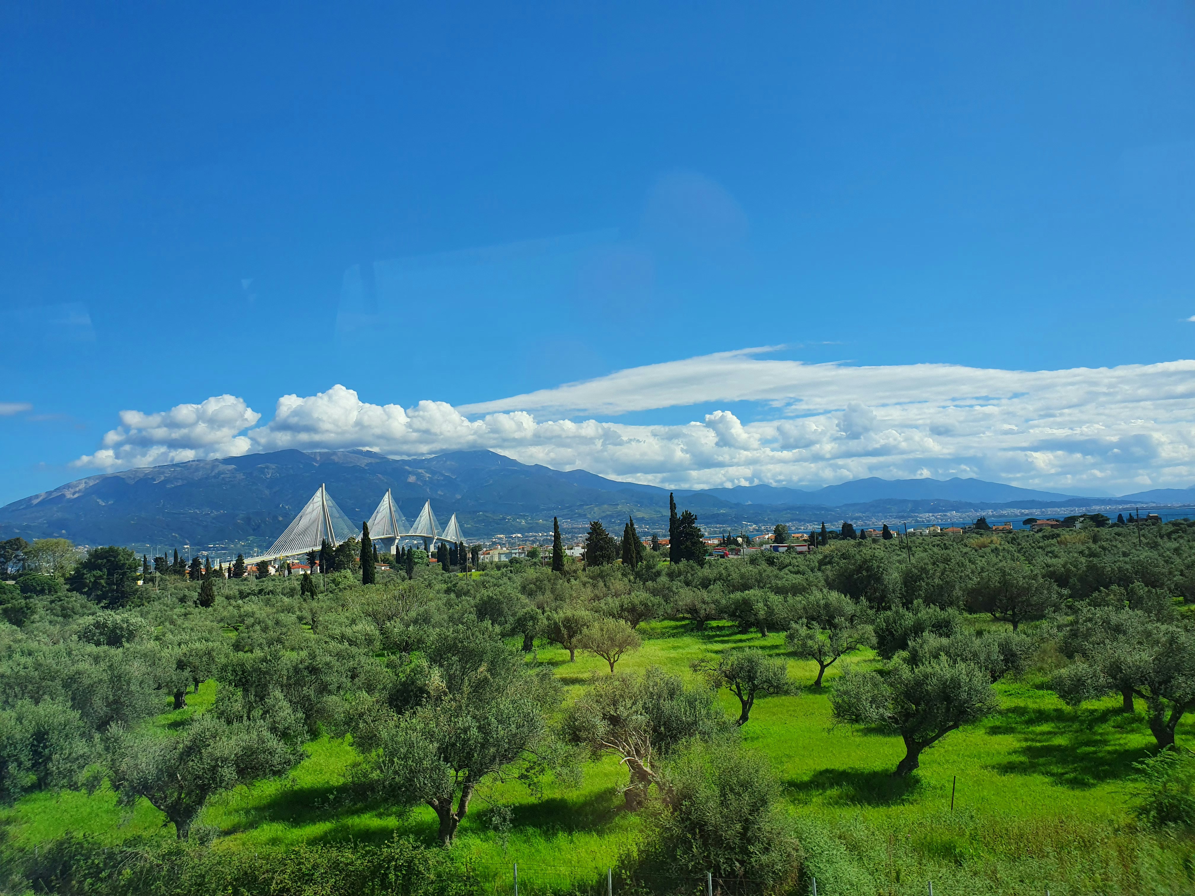 Image by Pavle Đurakić via Unsplash