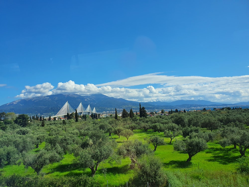 a green field with trees and mountains in the background