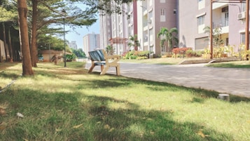 A peaceful park area with well-maintained green grass and a path lined with trees leading to an apartment building. Two empty benches are positioned on the grass, offering a place to relax under the shade of the trees. The scene is bright and sunny, with shadows cast by the trees.