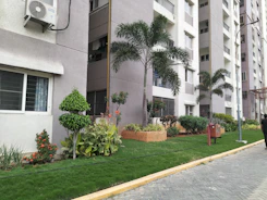 A row of contemporary apartment buildings with tall palm trees and neatly landscaped gardens. The walls are painted in neutral colors and air conditioning units are visible on the exterior. A pedestrian pathway runs alongside small lawns with a variety of green plants and shrubs.