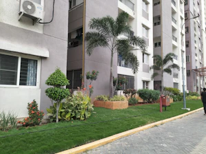 A row of contemporary apartment buildings with tall palm trees and neatly landscaped gardens. The walls are painted in neutral colors and air conditioning units are visible on the exterior. A pedestrian pathway runs alongside small lawns with a variety of green plants and shrubs.