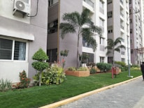 A row of contemporary apartment buildings with tall palm trees and neatly landscaped gardens. The walls are painted in neutral colors and air conditioning units are visible on the exterior. A pedestrian pathway runs alongside small lawns with a variety of green plants and shrubs.