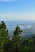 A scenic view of the Santa Catarina coastline with community members planting native trees.