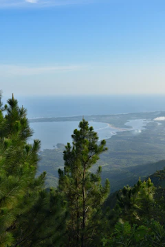 A scenic view of the Santa Catarina coastline with community members planting native trees.