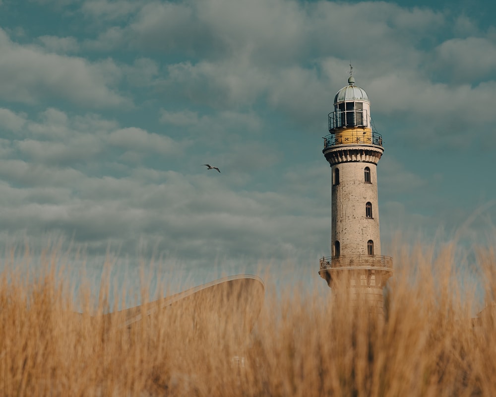 a bird flying by a lighthouse on a cloudy day