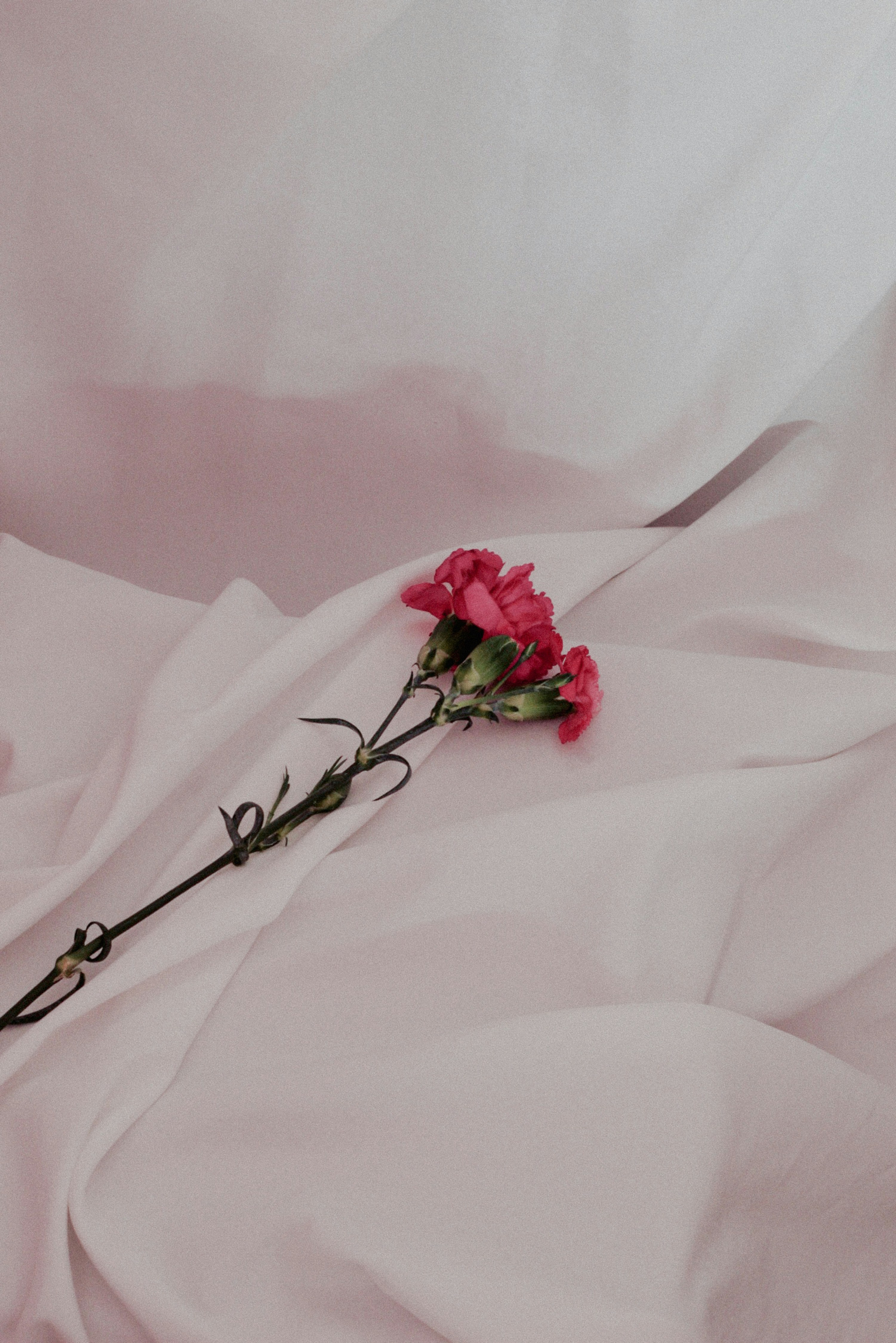 L’importance de la vulnérabilité