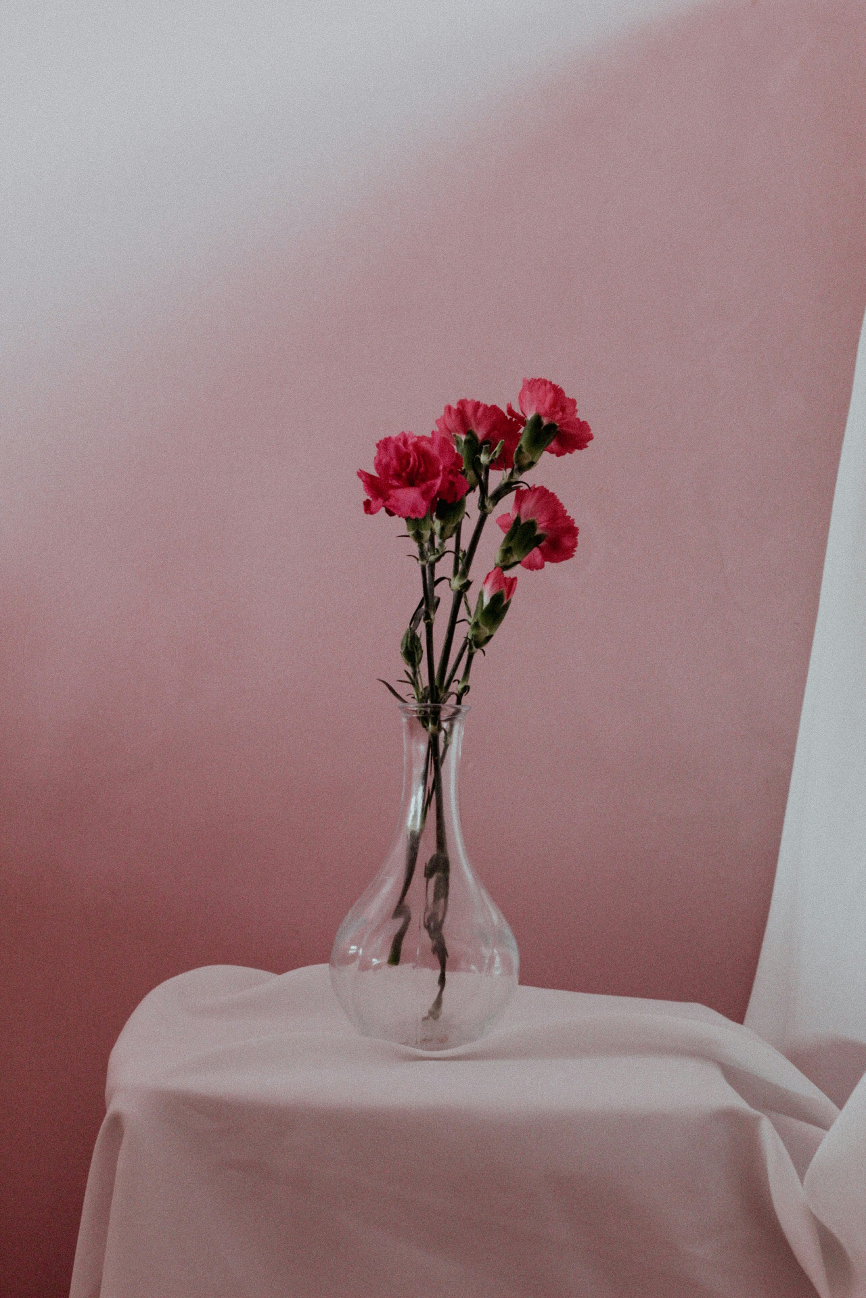 Photo by esrakorkmaz