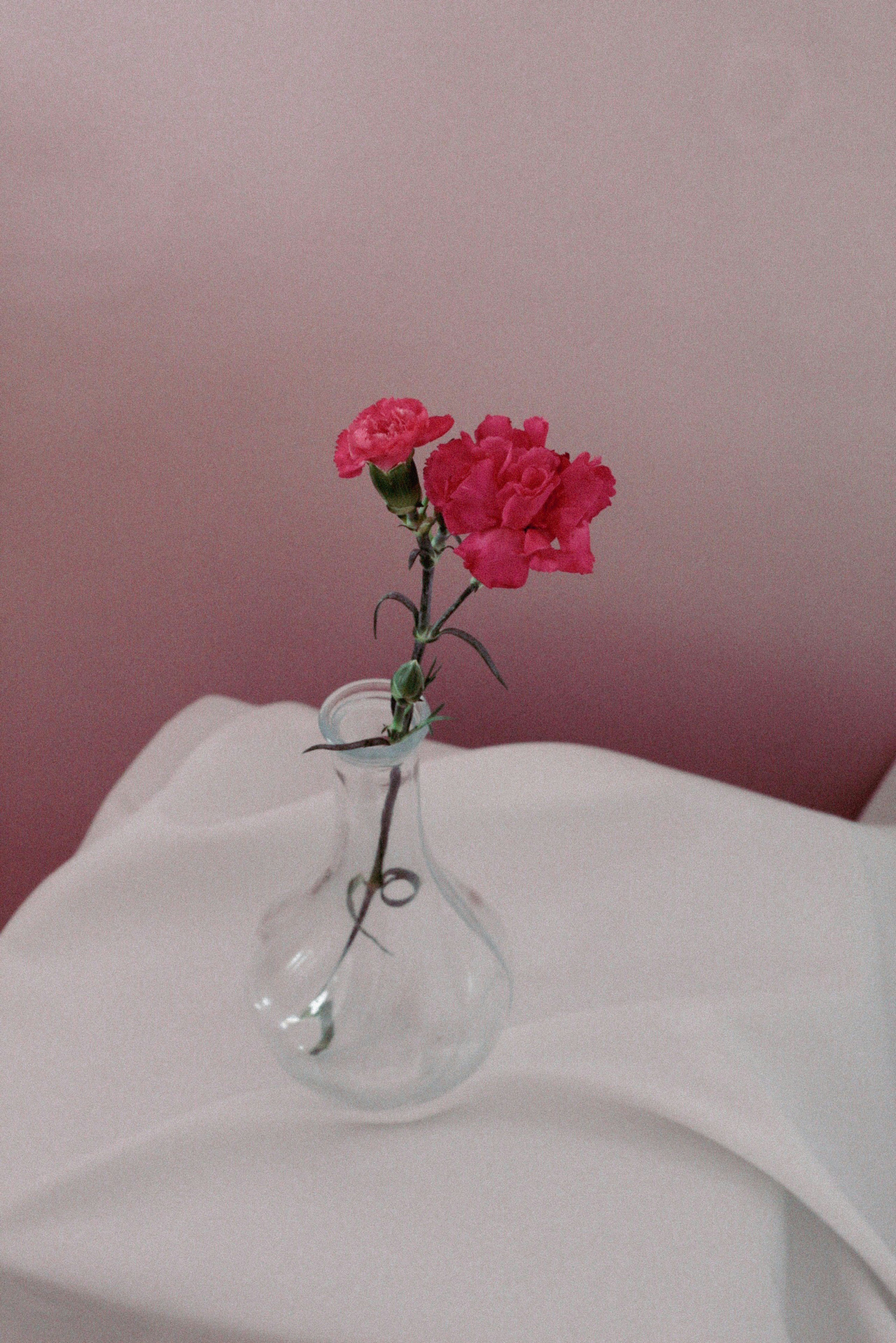 Photo by esrakorkmaz