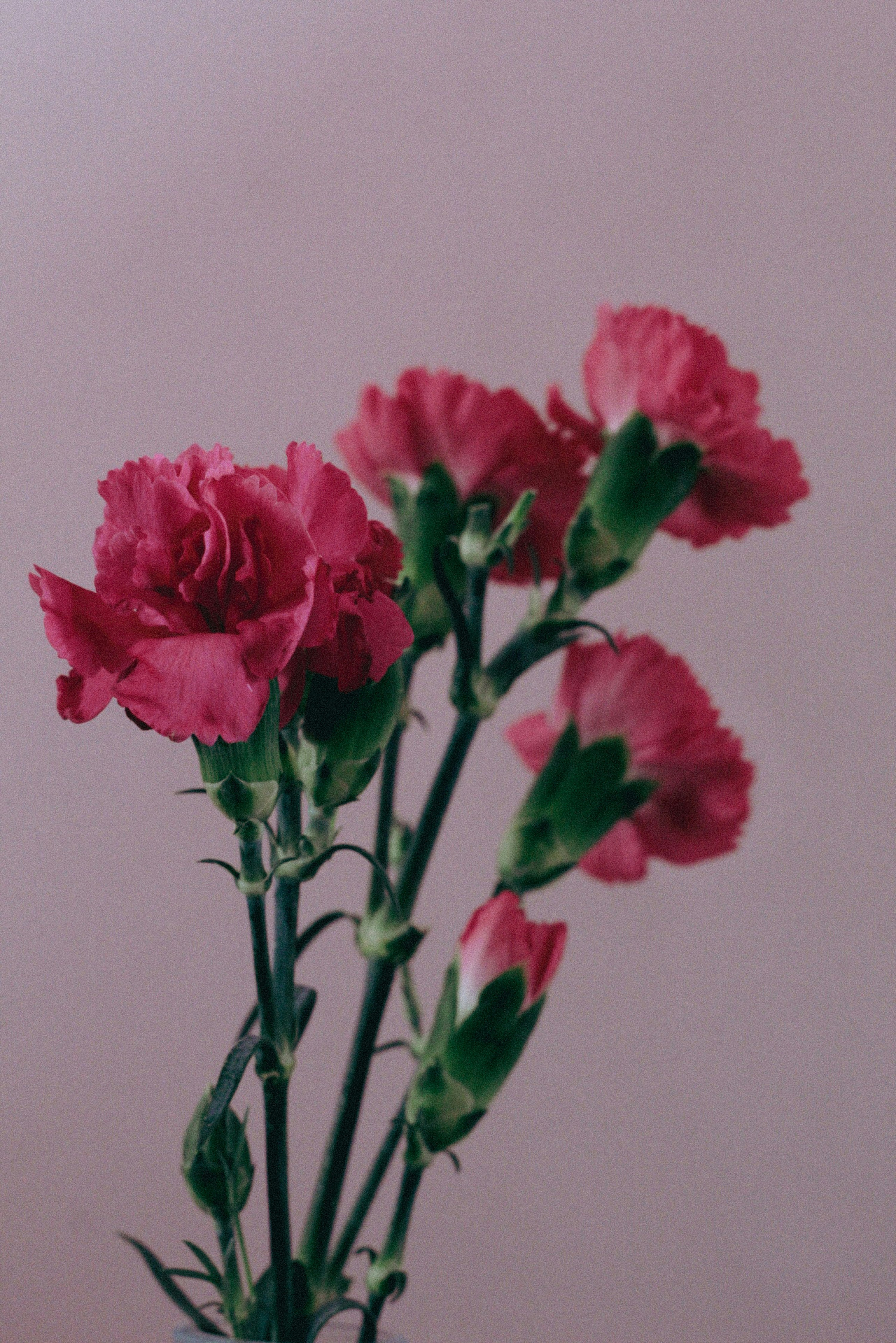 Photo by esrakorkmaz