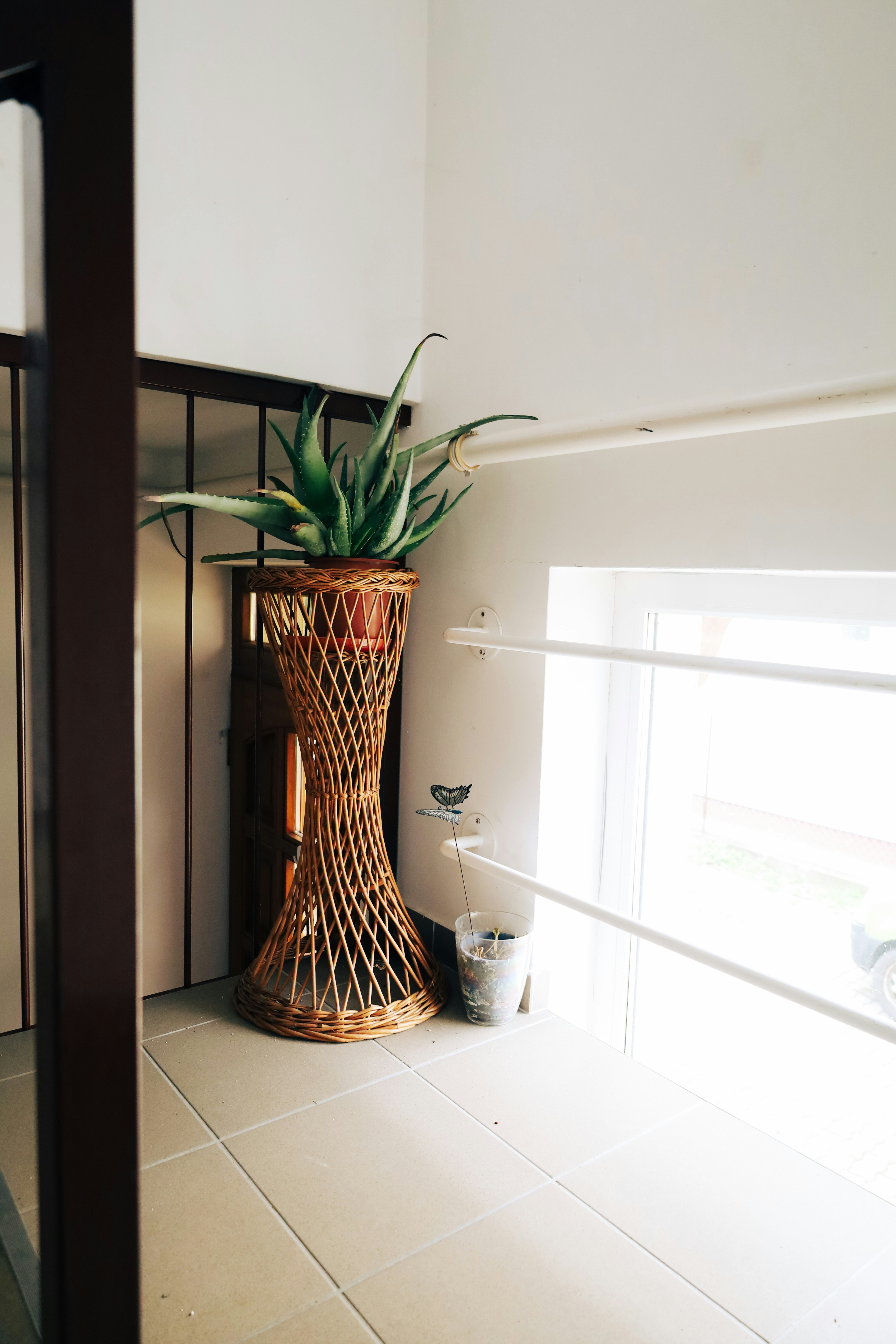 a potted plant sitting on top of a tiled floor