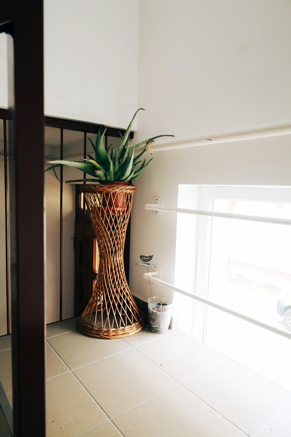 a potted plant sitting on top of a tiled floor