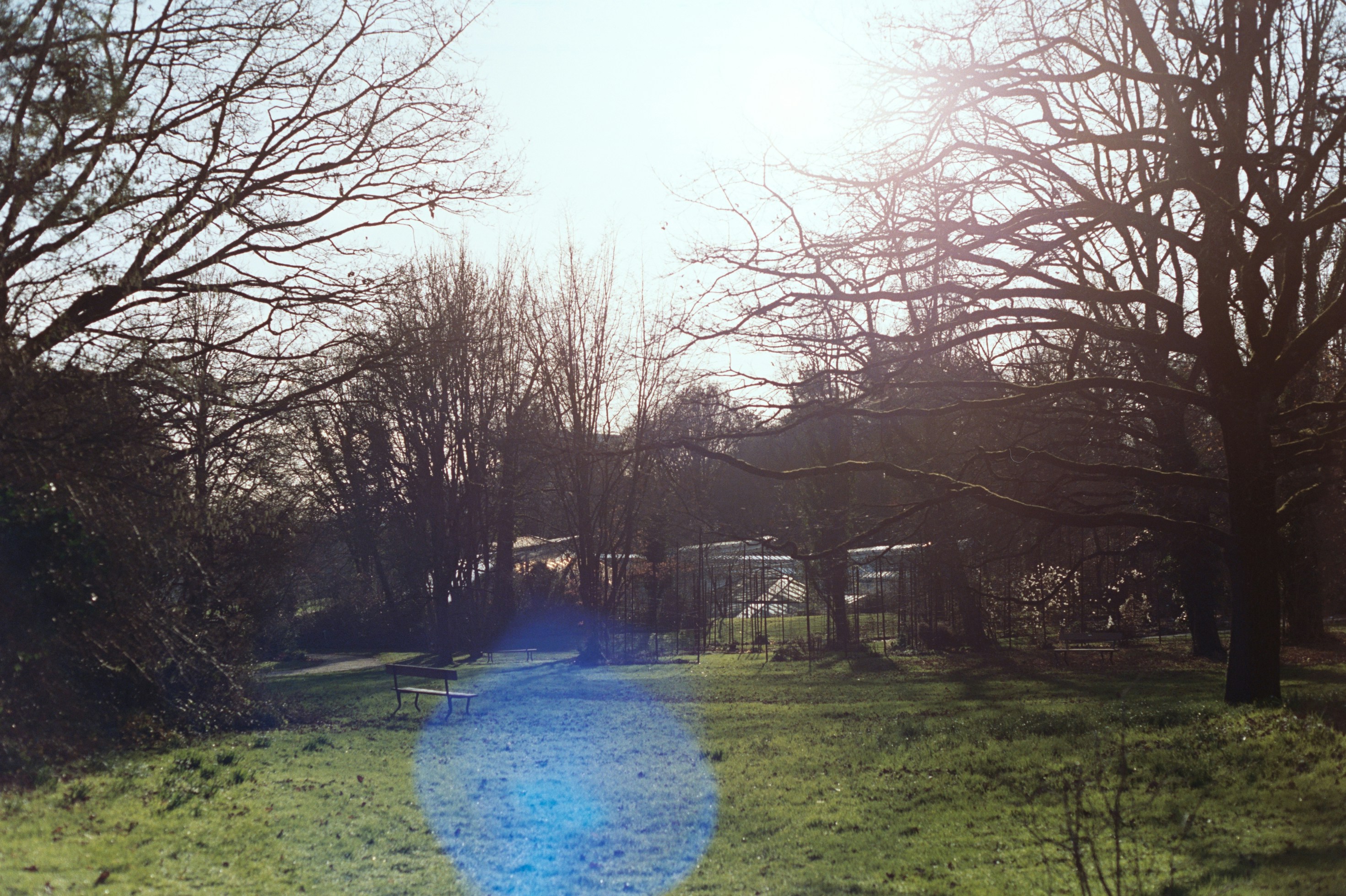 Photo by laurenceziegler