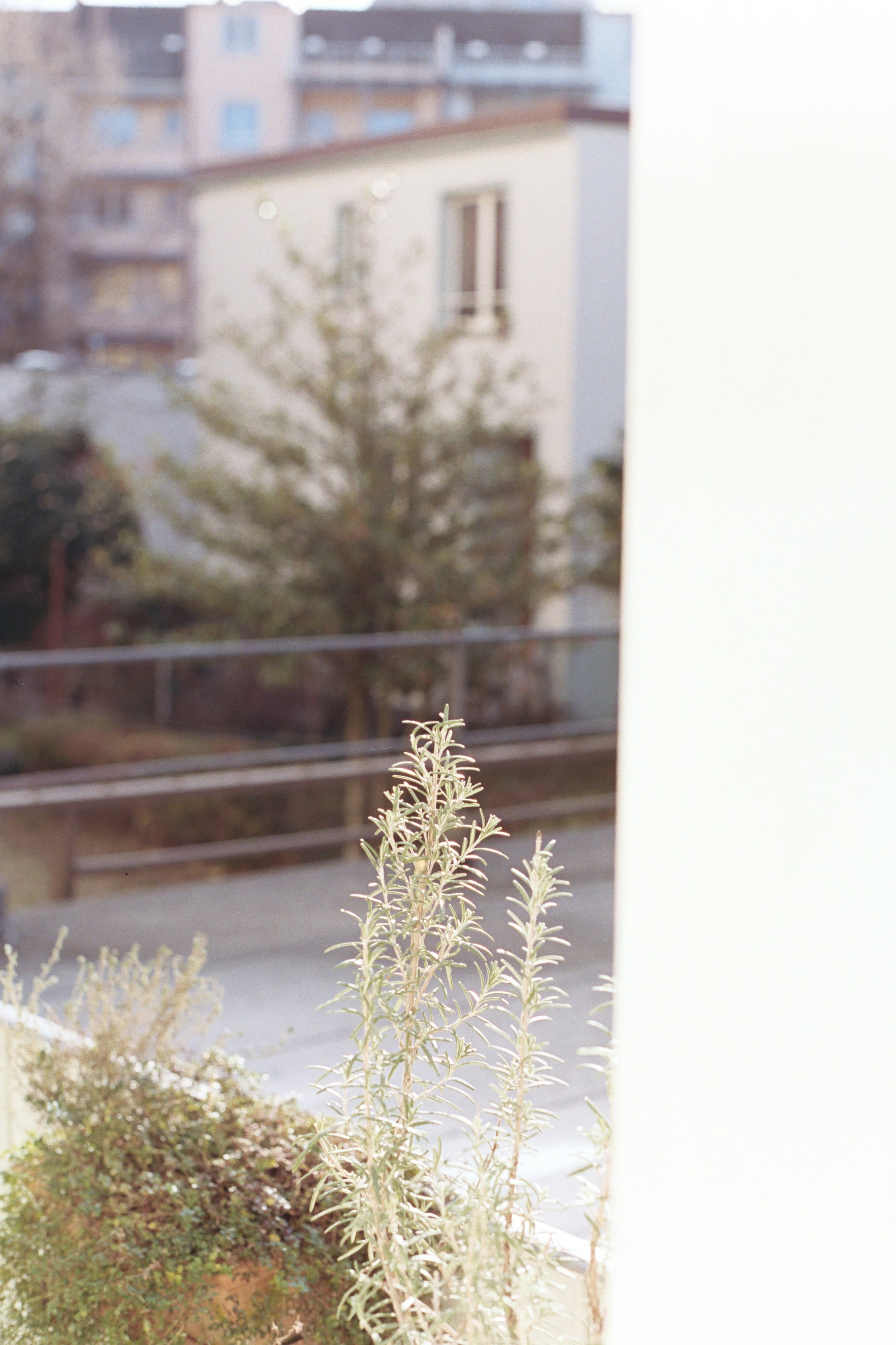 Photo by laurenceziegler