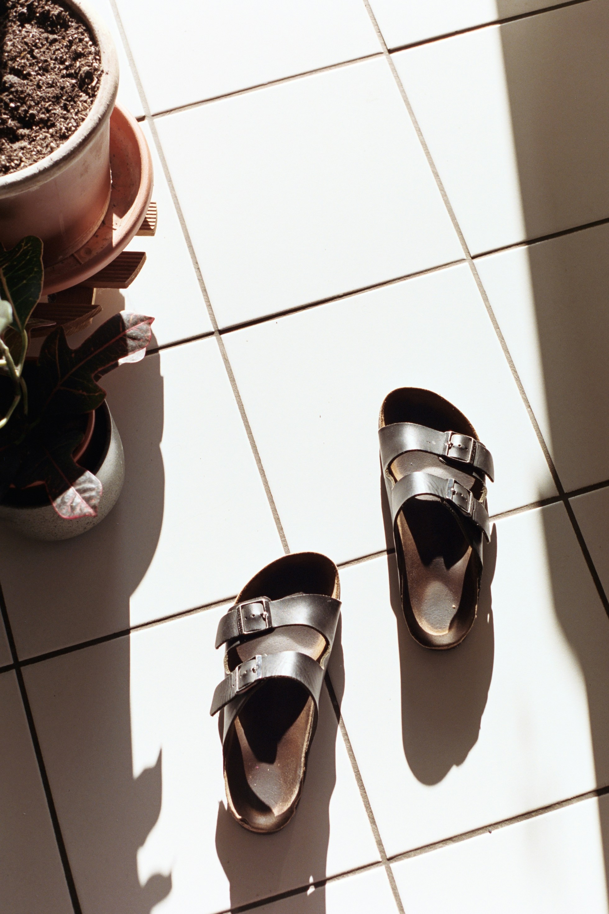 Photo by laurenceziegler