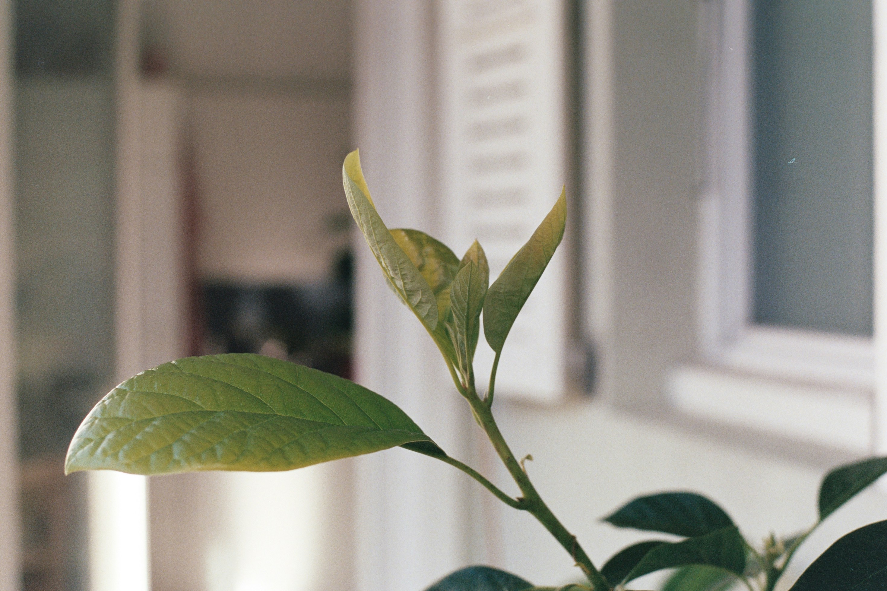 Photo by laurenceziegler