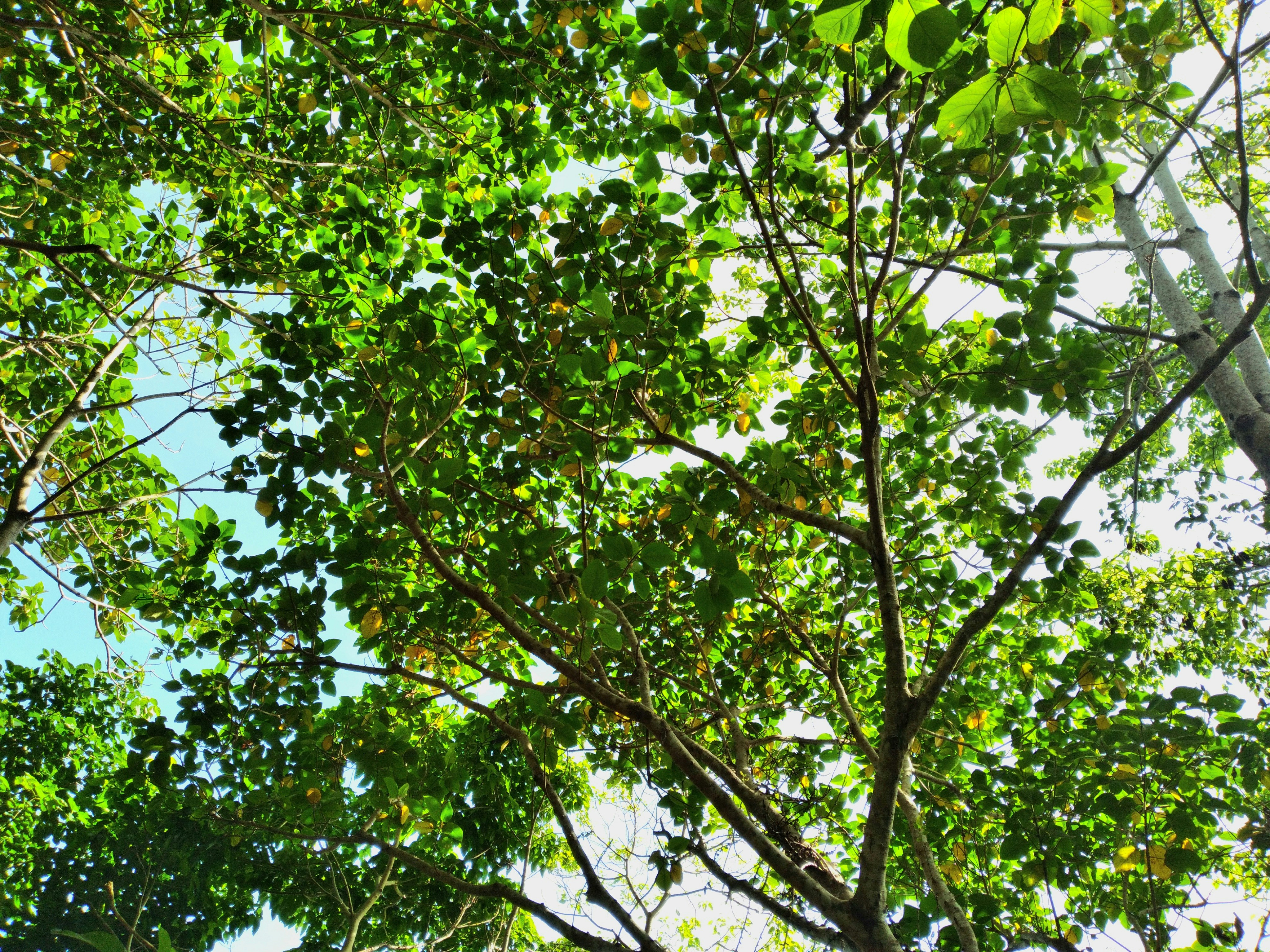 Photo by papiliomater