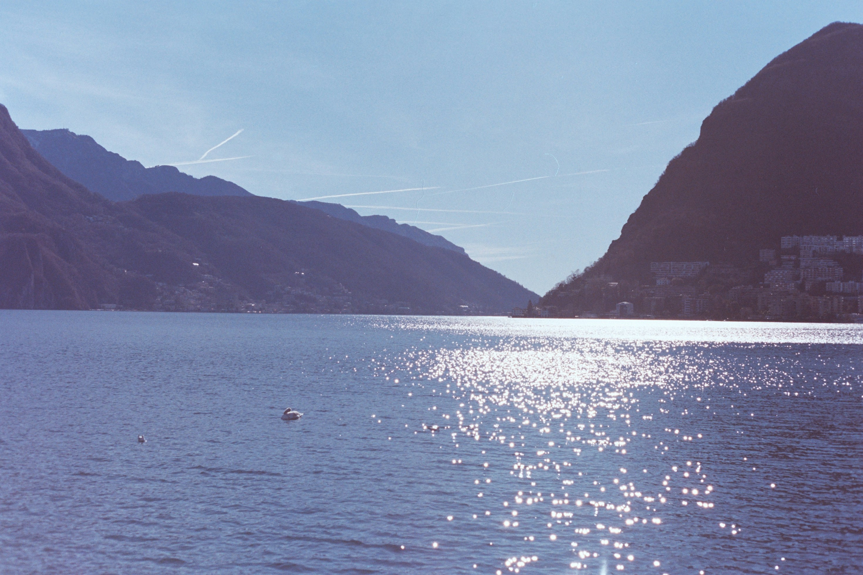 Photo by laurenceziegler