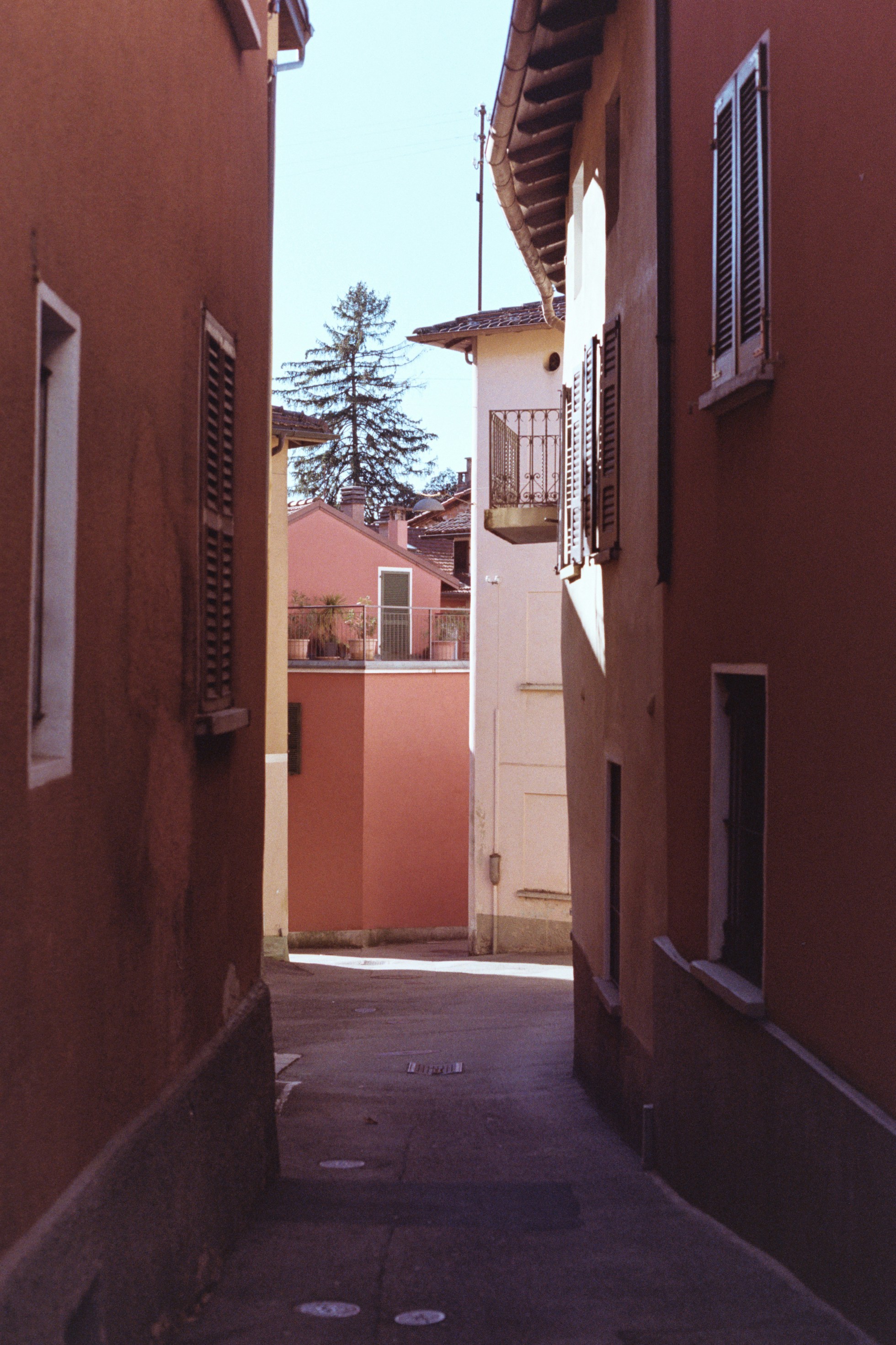 Photo by laurenceziegler