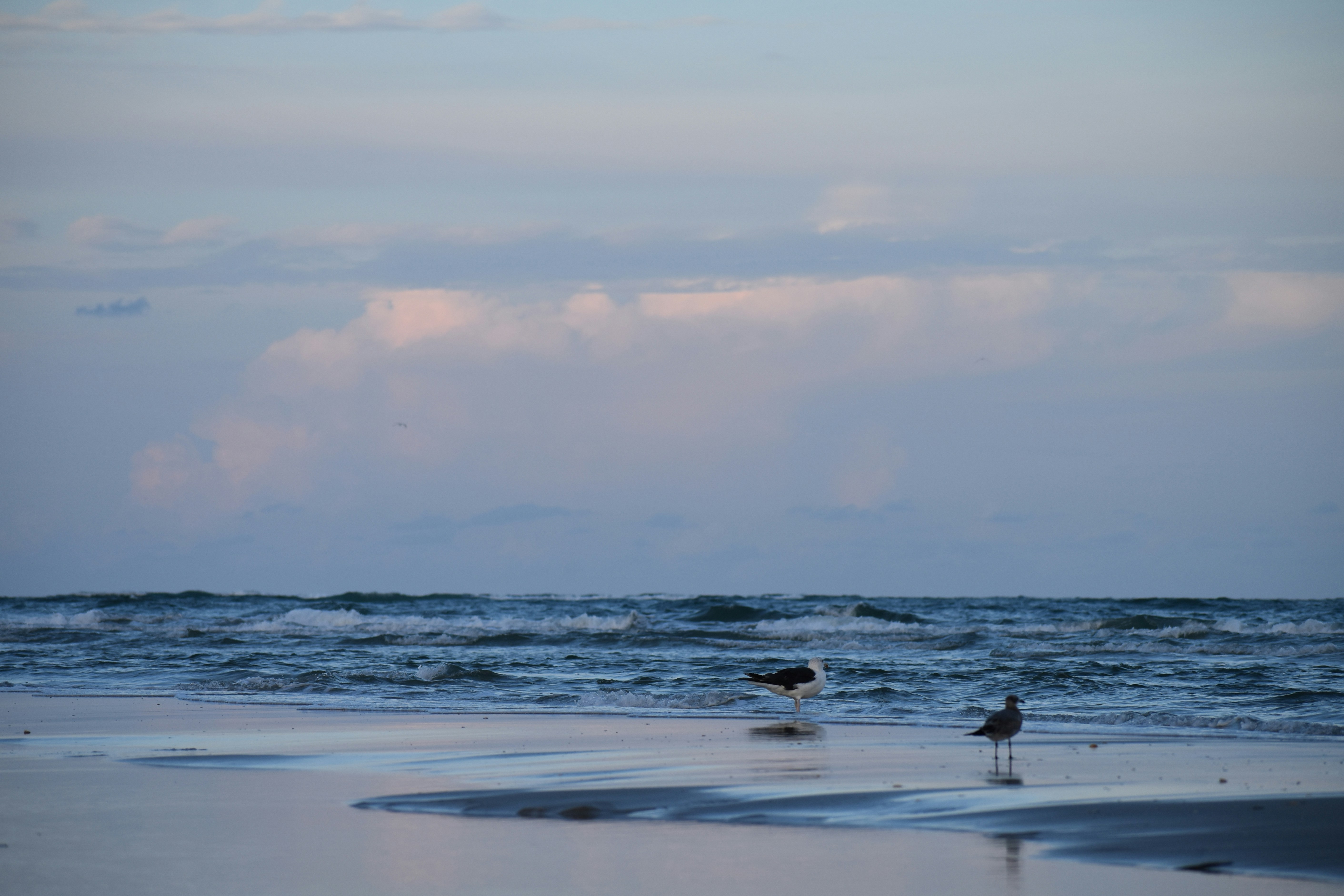 Photo by averycocozziello