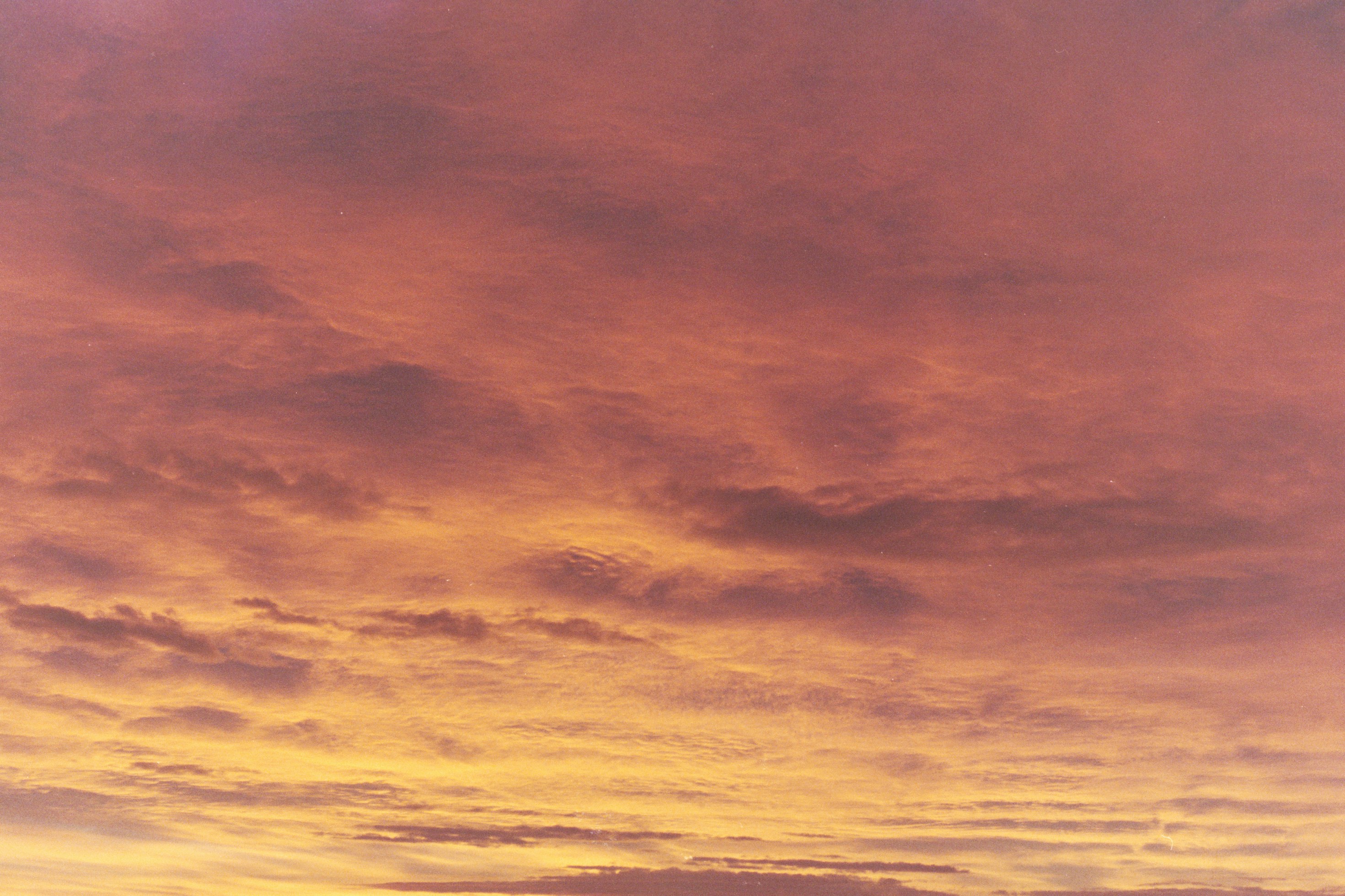 Photo by laurenceziegler