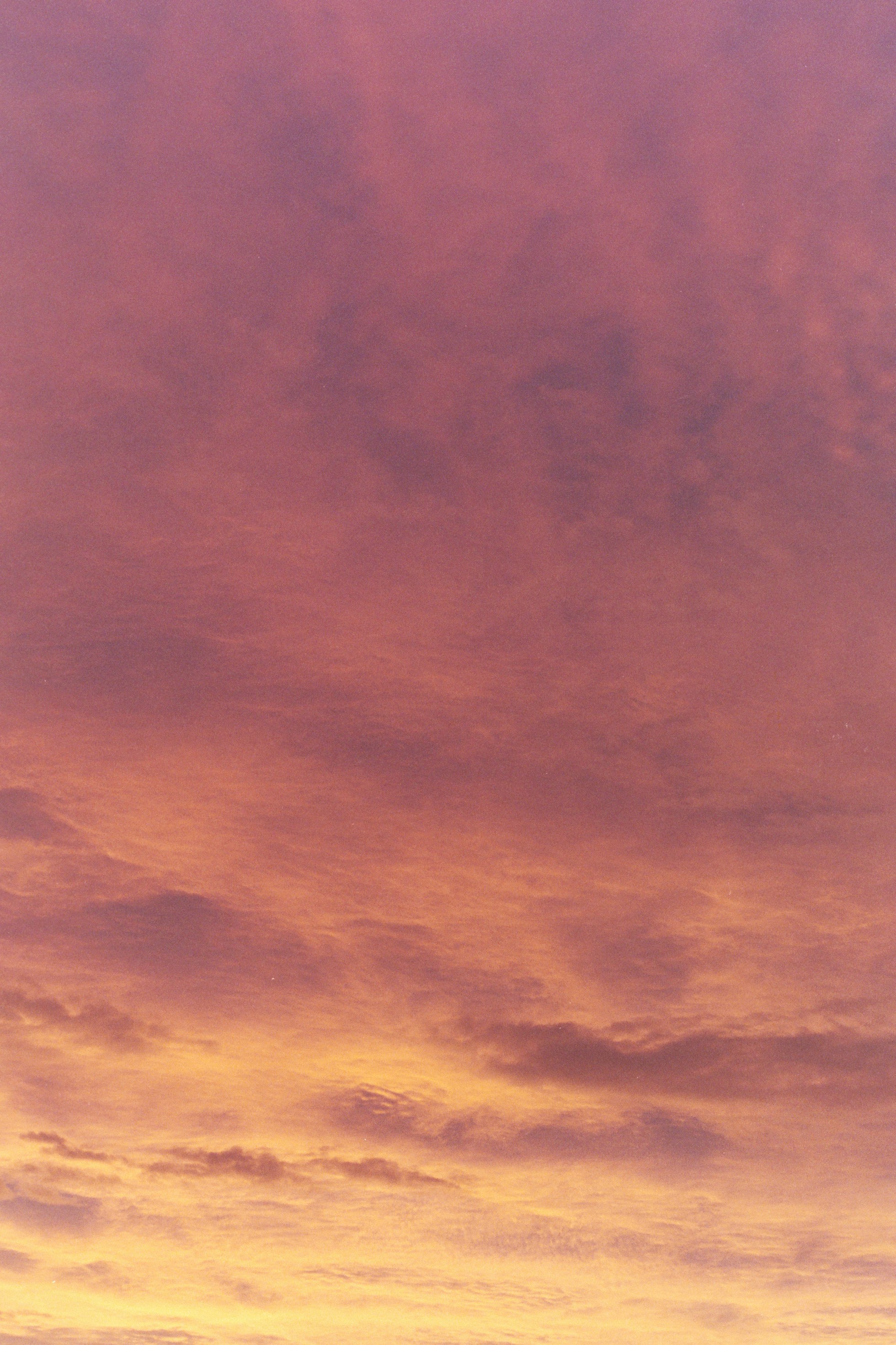 Photo by laurenceziegler