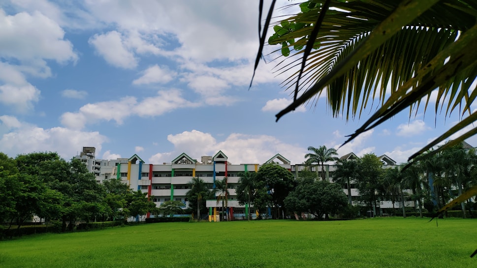 A wide expanse of green grass spans the foreground, leading up to a colorful building with a modern design. Tall palm trees and other greenery surround the building, with a few palm leaves appearing in the foreground. The sky is bright and clear with fluffy white clouds scattered across it.