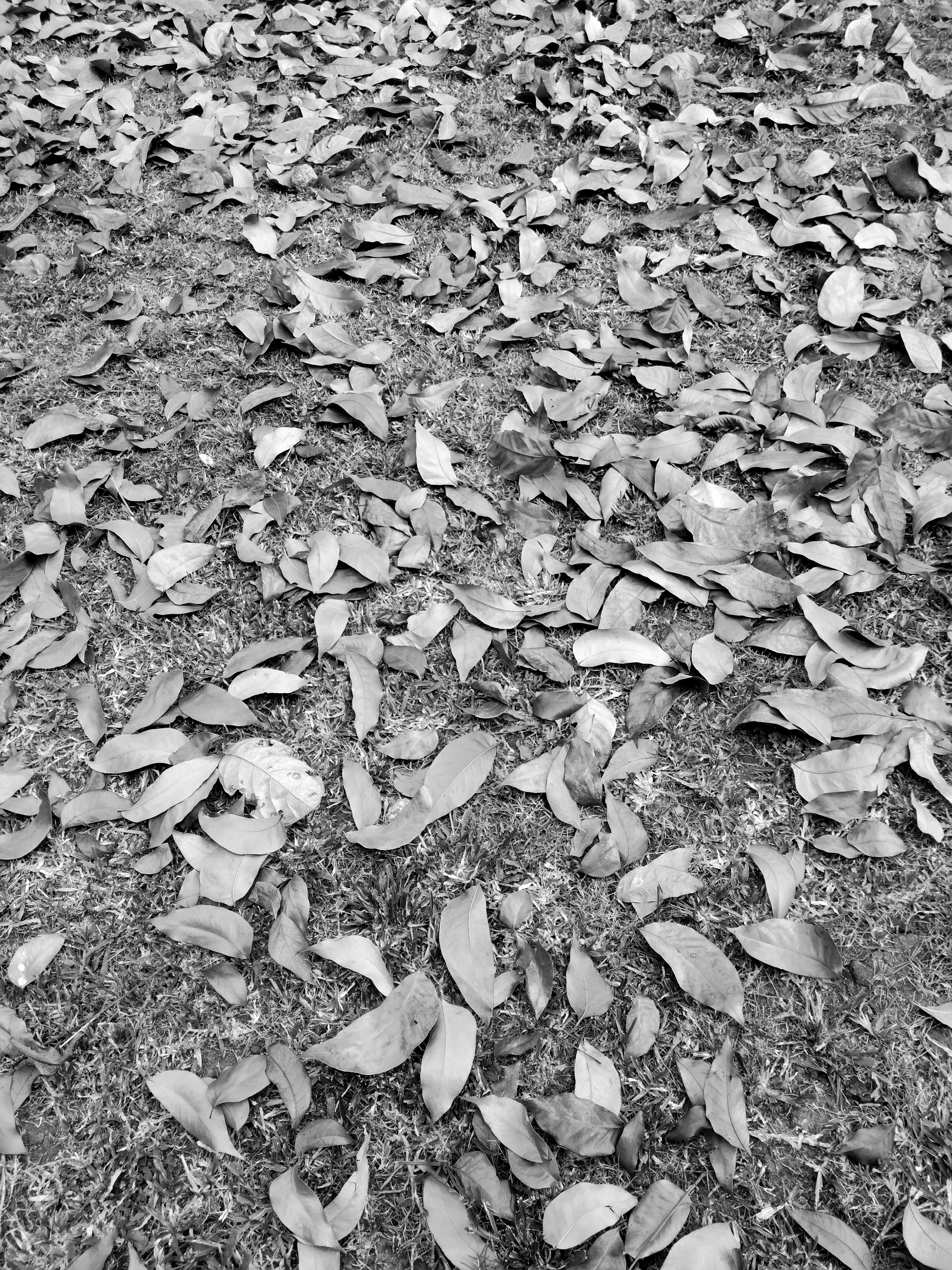 Photo by papiliomater