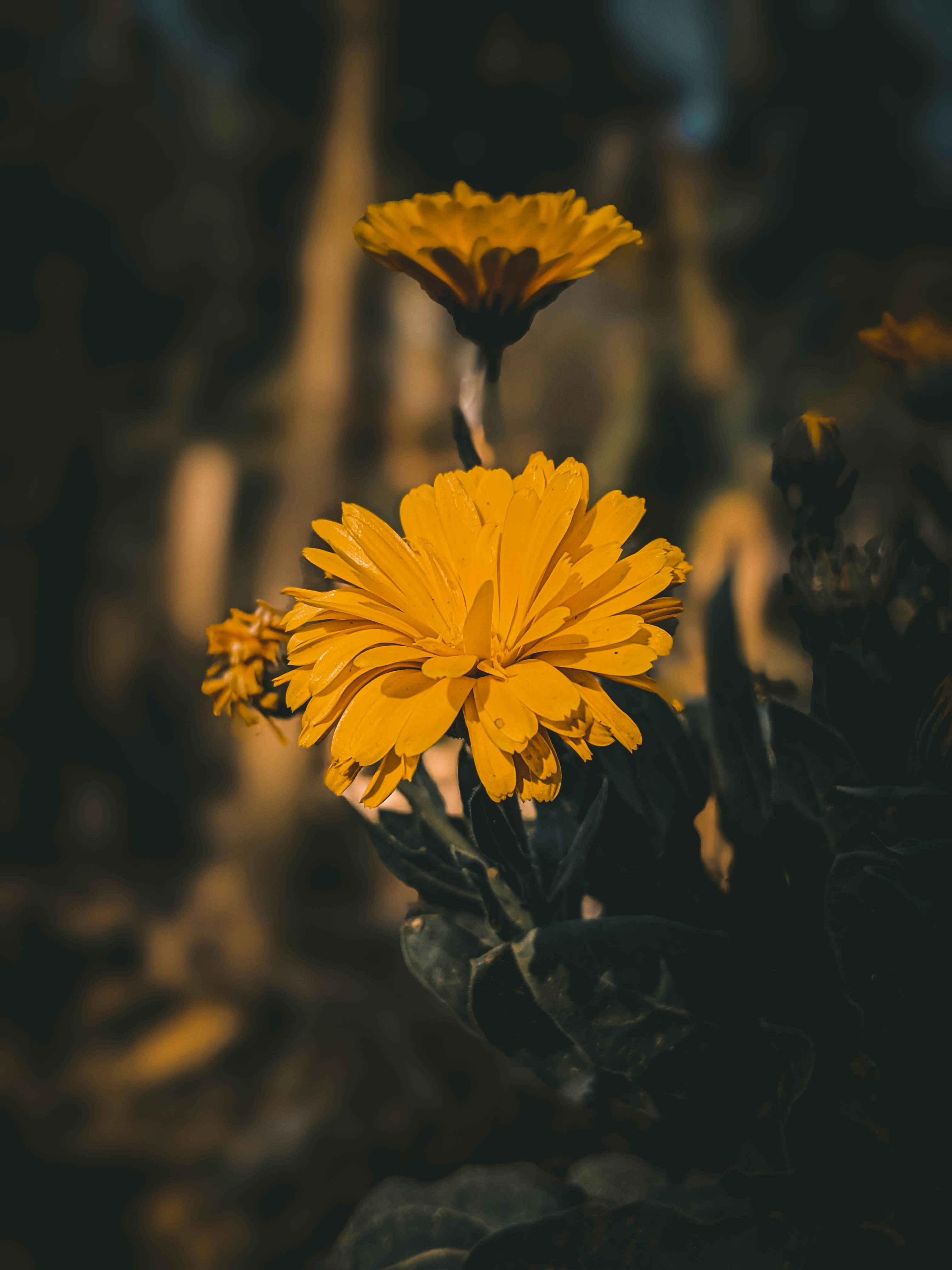 Photo by tshewe_rhakho